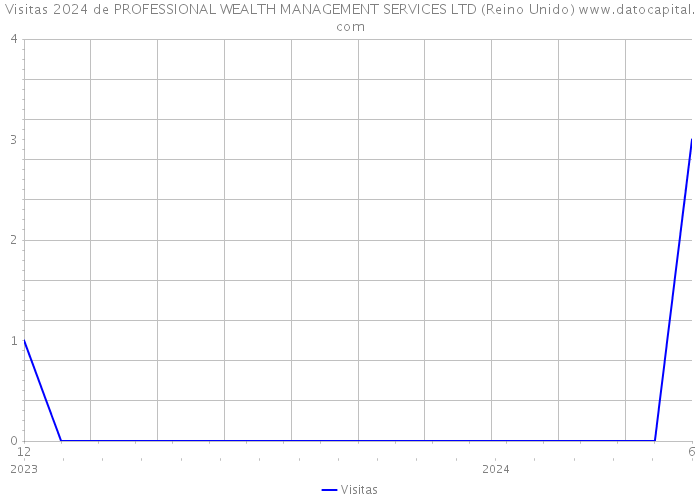 Visitas 2024 de PROFESSIONAL WEALTH MANAGEMENT SERVICES LTD (Reino Unido) 