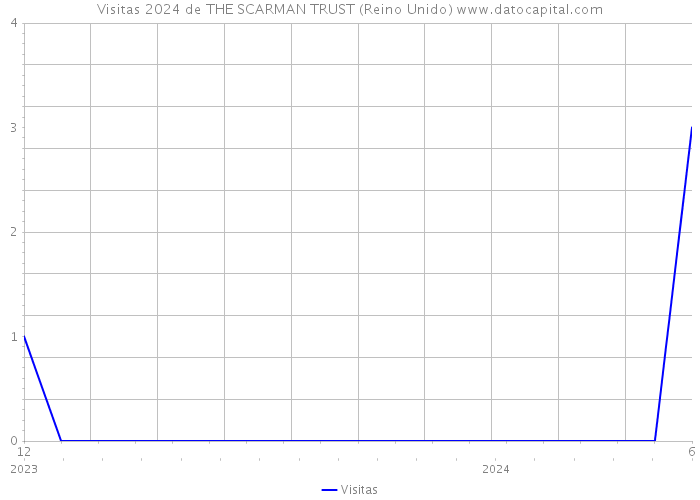 Visitas 2024 de THE SCARMAN TRUST (Reino Unido) 