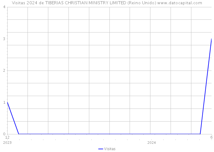 Visitas 2024 de TIBERIAS CHRISTIAN MINISTRY LIMITED (Reino Unido) 