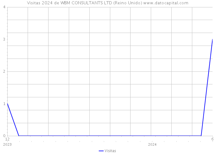 Visitas 2024 de WBM CONSULTANTS LTD (Reino Unido) 