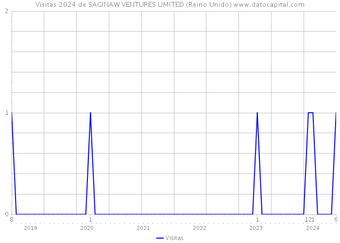 Visitas 2024 de SAGINAW VENTURES LIMITED (Reino Unido) 