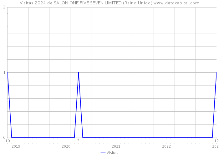 Visitas 2024 de SALON ONE FIVE SEVEN LIMITED (Reino Unido) 