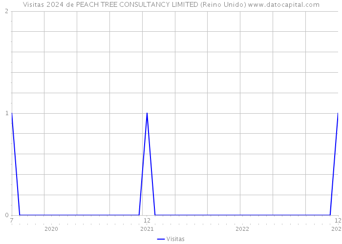 Visitas 2024 de PEACH TREE CONSULTANCY LIMITED (Reino Unido) 