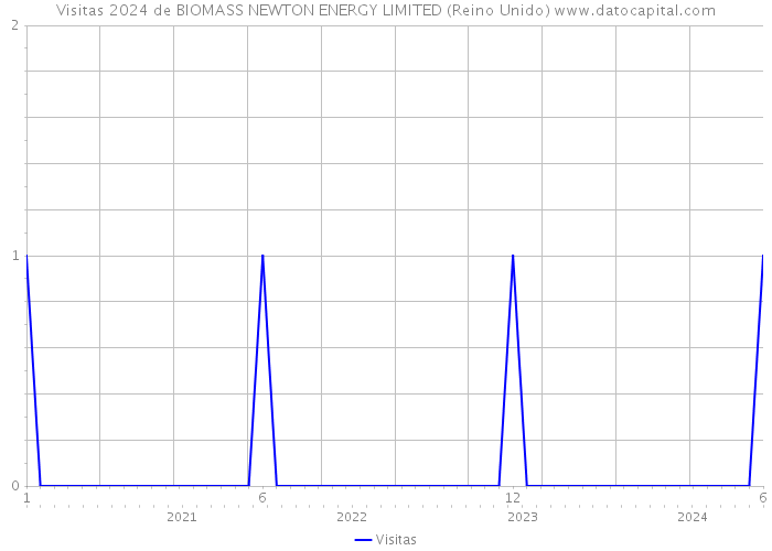 Visitas 2024 de BIOMASS NEWTON ENERGY LIMITED (Reino Unido) 