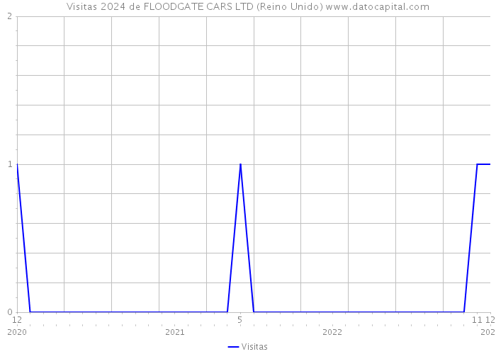 Visitas 2024 de FLOODGATE CARS LTD (Reino Unido) 