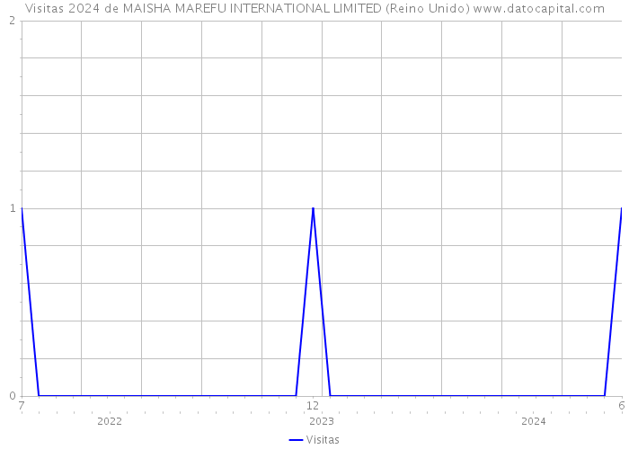 Visitas 2024 de MAISHA MAREFU INTERNATIONAL LIMITED (Reino Unido) 