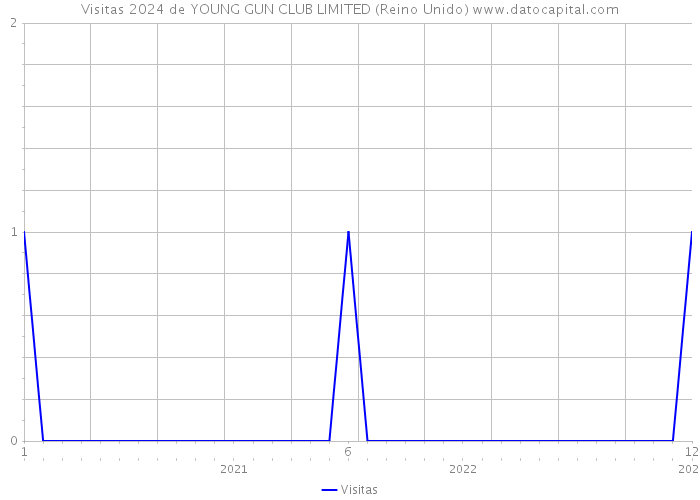 Visitas 2024 de YOUNG GUN CLUB LIMITED (Reino Unido) 
