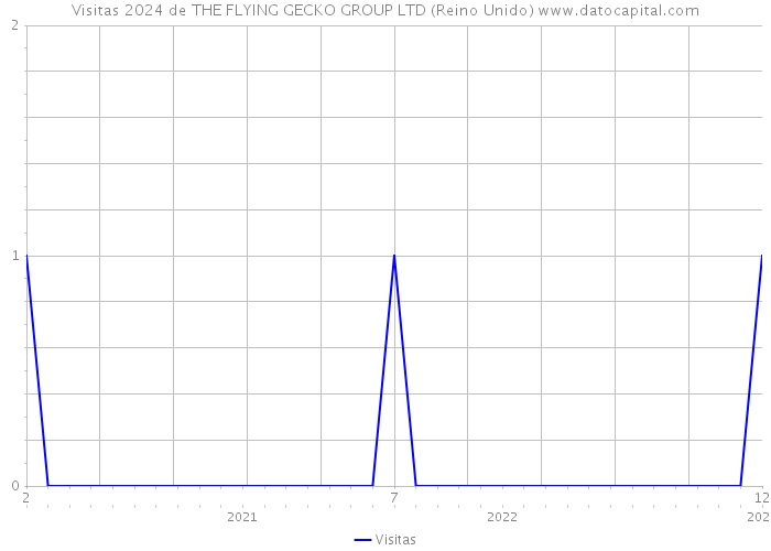 Visitas 2024 de THE FLYING GECKO GROUP LTD (Reino Unido) 