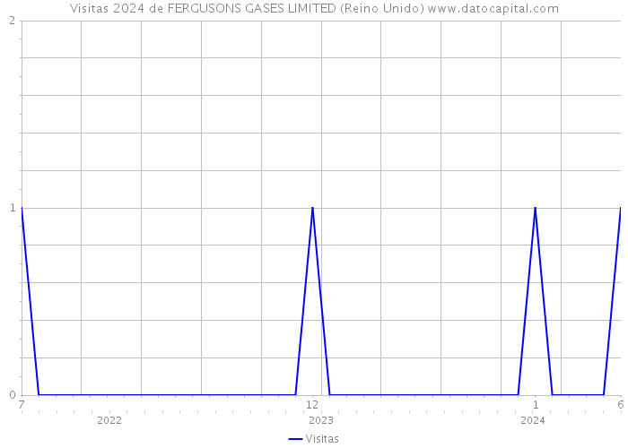 Visitas 2024 de FERGUSONS GASES LIMITED (Reino Unido) 