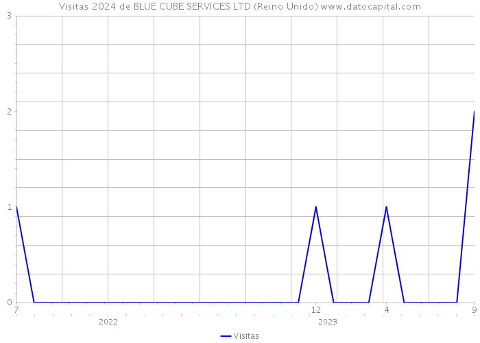 Visitas 2024 de BLUE CUBE SERVICES LTD (Reino Unido) 