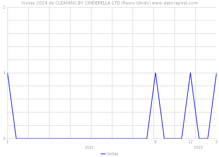 Visitas 2024 de CLEANING BY CINDERELLA LTD (Reino Unido) 