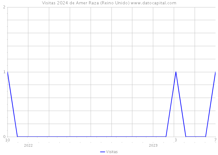 Visitas 2024 de Amer Raza (Reino Unido) 