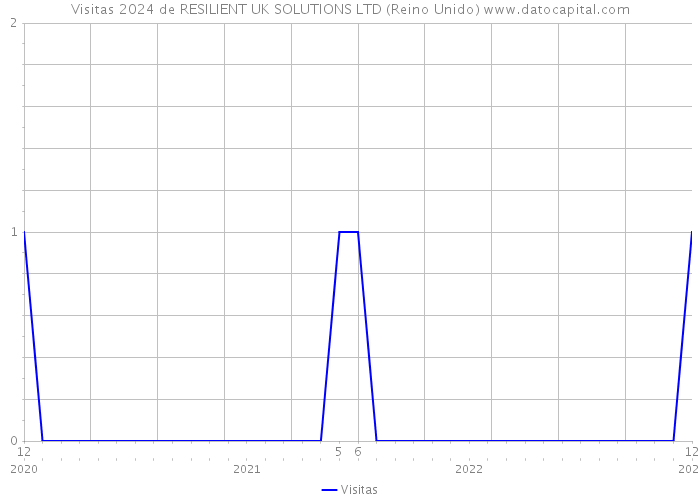 Visitas 2024 de RESILIENT UK SOLUTIONS LTD (Reino Unido) 