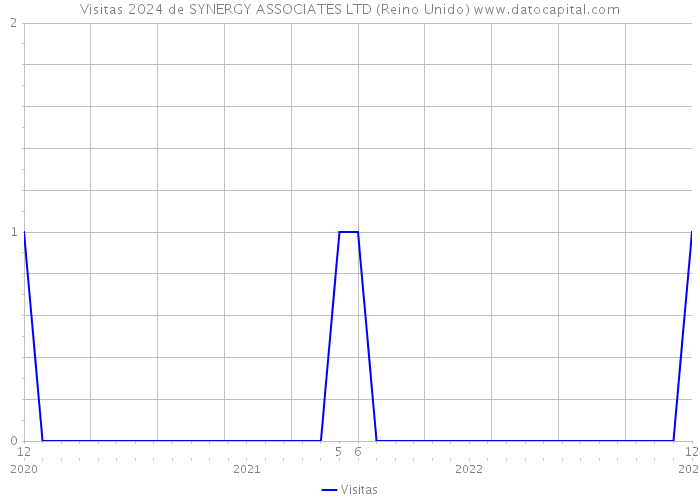 Visitas 2024 de SYNERGY ASSOCIATES LTD (Reino Unido) 