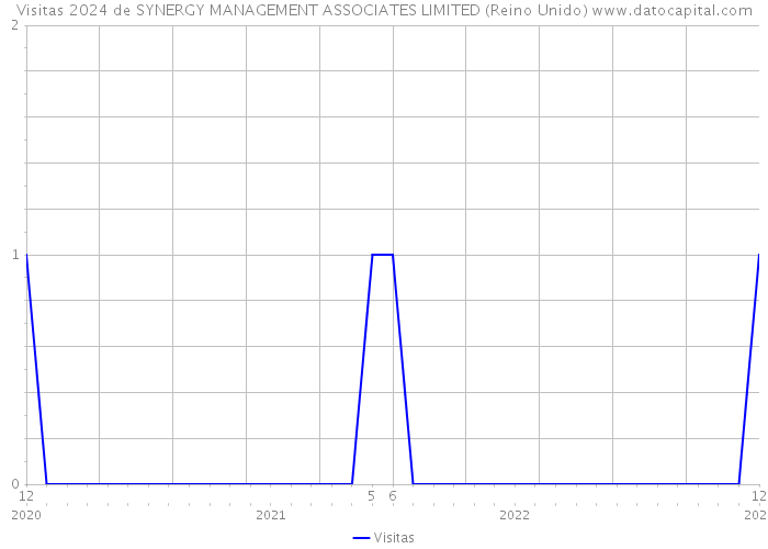 Visitas 2024 de SYNERGY MANAGEMENT ASSOCIATES LIMITED (Reino Unido) 