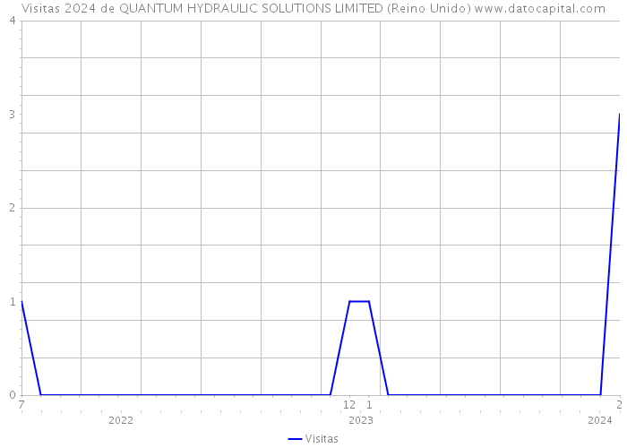 Visitas 2024 de QUANTUM HYDRAULIC SOLUTIONS LIMITED (Reino Unido) 