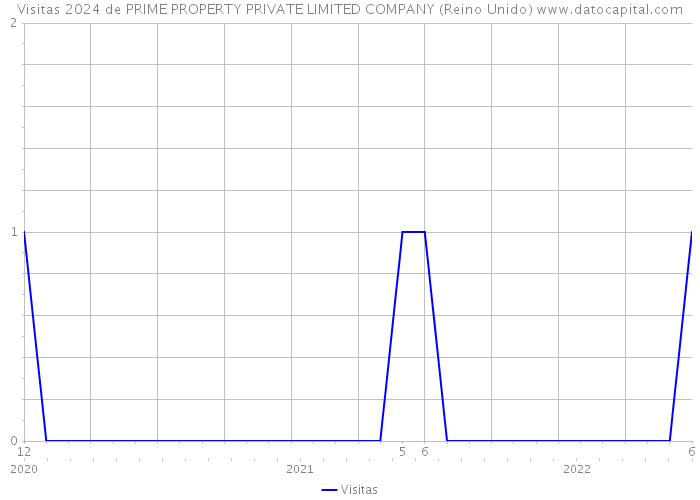 Visitas 2024 de PRIME PROPERTY PRIVATE LIMITED COMPANY (Reino Unido) 
