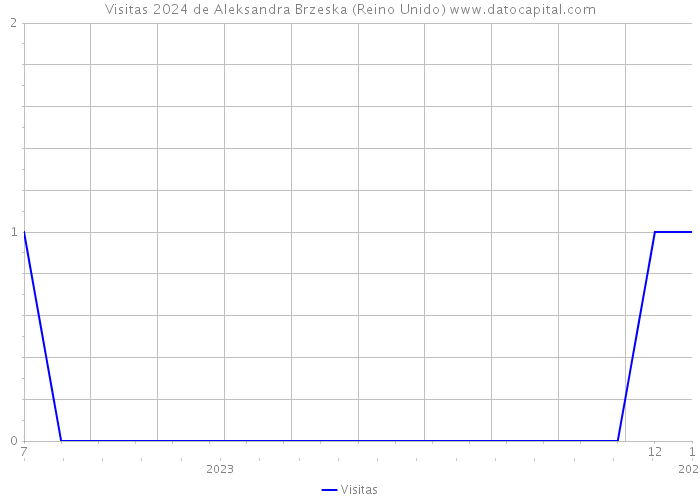 Visitas 2024 de Aleksandra Brzeska (Reino Unido) 