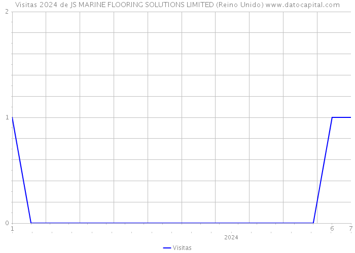 Visitas 2024 de JS MARINE FLOORING SOLUTIONS LIMITED (Reino Unido) 