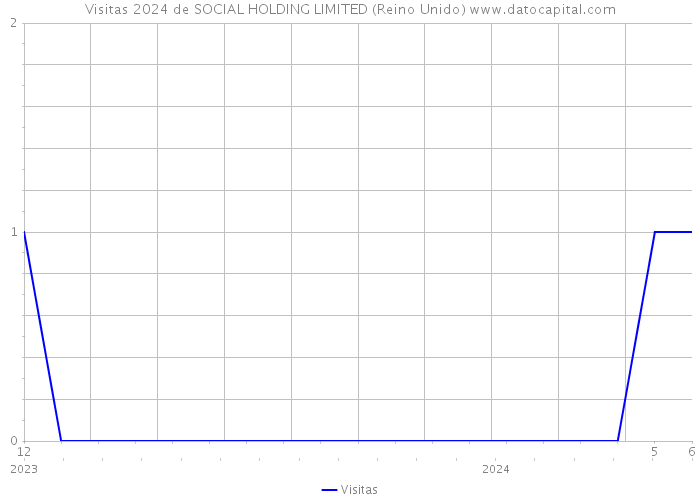 Visitas 2024 de SOCIAL HOLDING LIMITED (Reino Unido) 