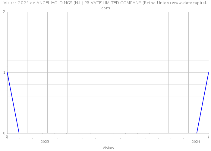Visitas 2024 de ANGEL HOLDINGS (N.I.) PRIVATE LIMITED COMPANY (Reino Unido) 