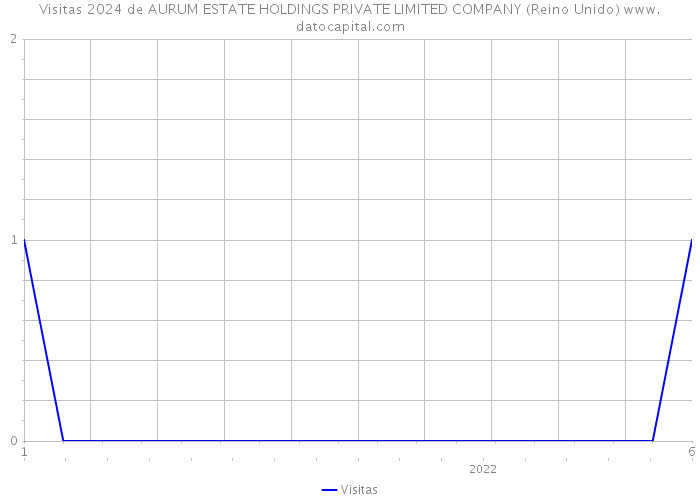 Visitas 2024 de AURUM ESTATE HOLDINGS PRIVATE LIMITED COMPANY (Reino Unido) 