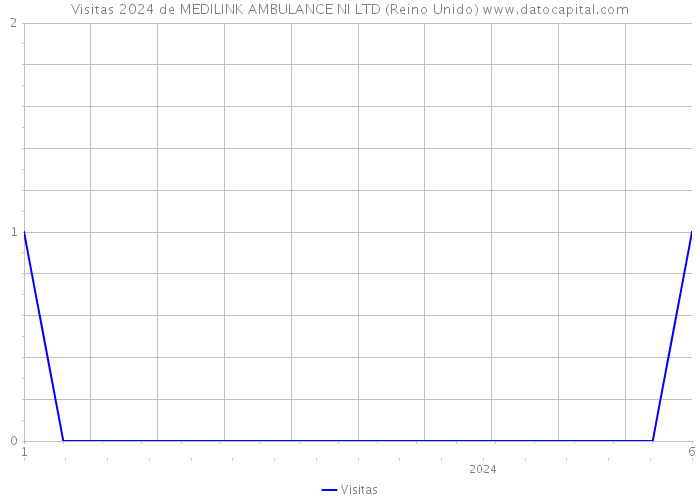 Visitas 2024 de MEDILINK AMBULANCE NI LTD (Reino Unido) 