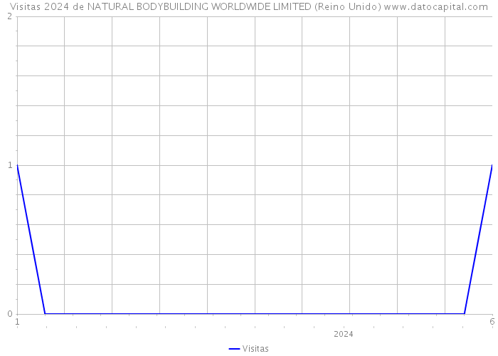 Visitas 2024 de NATURAL BODYBUILDING WORLDWIDE LIMITED (Reino Unido) 