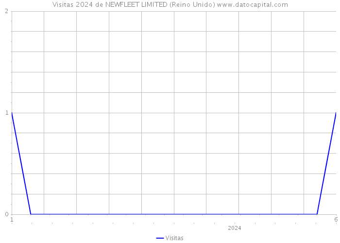 Visitas 2024 de NEWFLEET LIMITED (Reino Unido) 