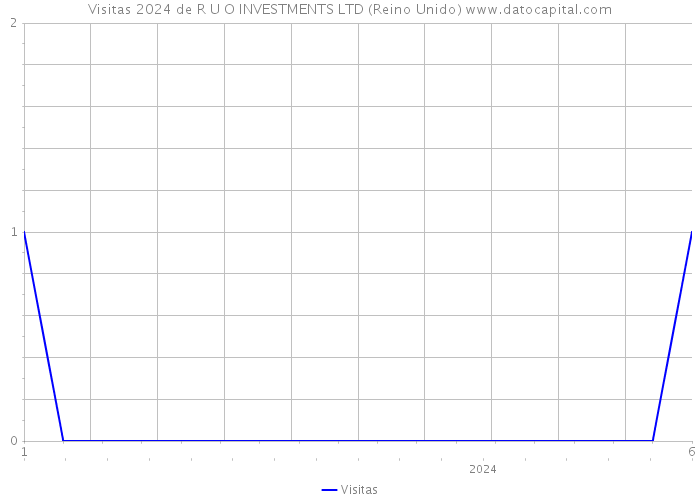 Visitas 2024 de R U O INVESTMENTS LTD (Reino Unido) 