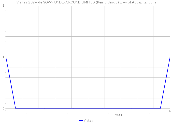 Visitas 2024 de SOWN UNDERGROUND LIMITED (Reino Unido) 