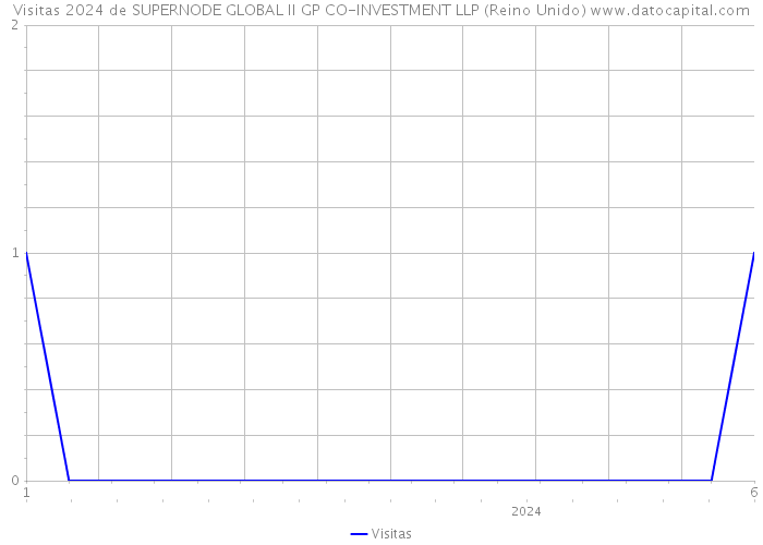 Visitas 2024 de SUPERNODE GLOBAL II GP CO-INVESTMENT LLP (Reino Unido) 