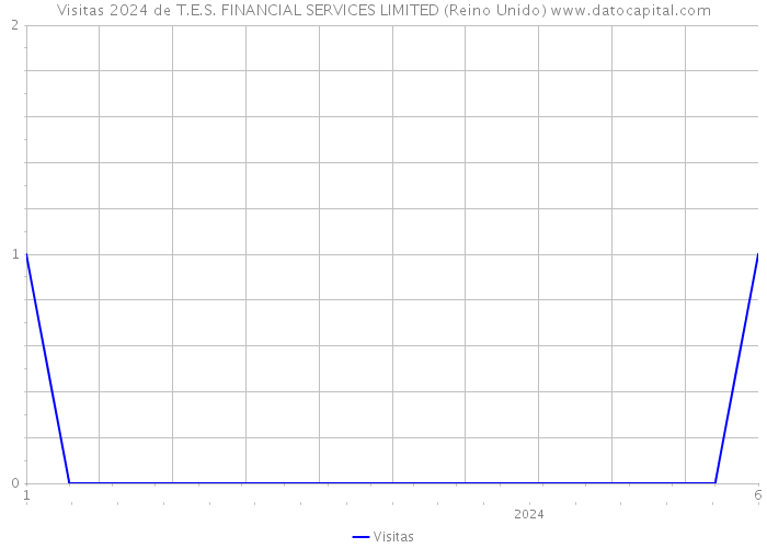 Visitas 2024 de T.E.S. FINANCIAL SERVICES LIMITED (Reino Unido) 