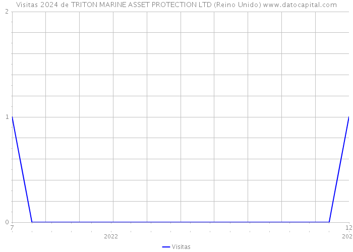 Visitas 2024 de TRITON MARINE ASSET PROTECTION LTD (Reino Unido) 