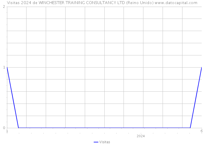 Visitas 2024 de WINCHESTER TRAINING CONSULTANCY LTD (Reino Unido) 