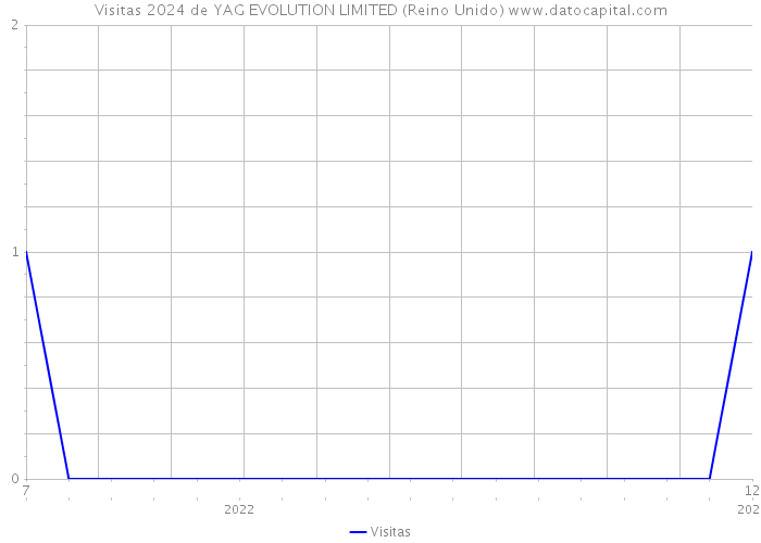 Visitas 2024 de YAG EVOLUTION LIMITED (Reino Unido) 