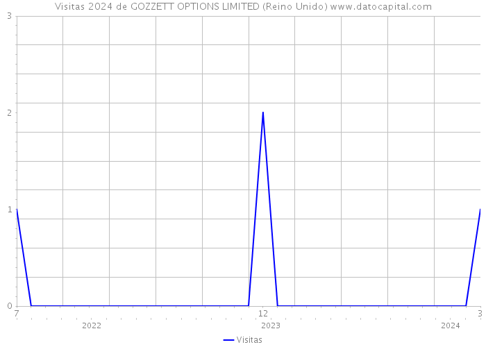 Visitas 2024 de GOZZETT OPTIONS LIMITED (Reino Unido) 