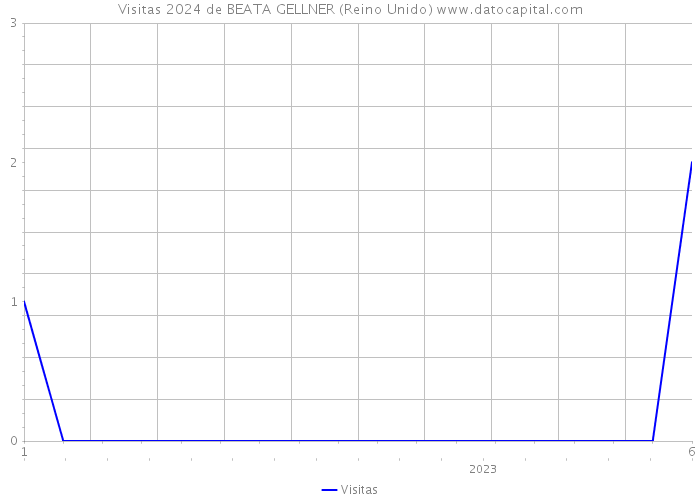 Visitas 2024 de BEATA GELLNER (Reino Unido) 