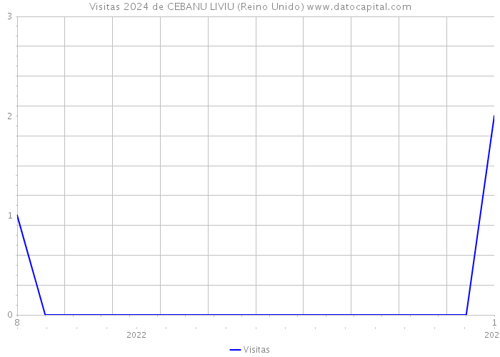 Visitas 2024 de CEBANU LIVIU (Reino Unido) 