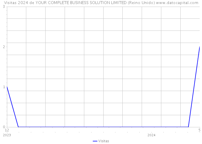 Visitas 2024 de YOUR COMPLETE BUSINESS SOLUTION LIMITED (Reino Unido) 