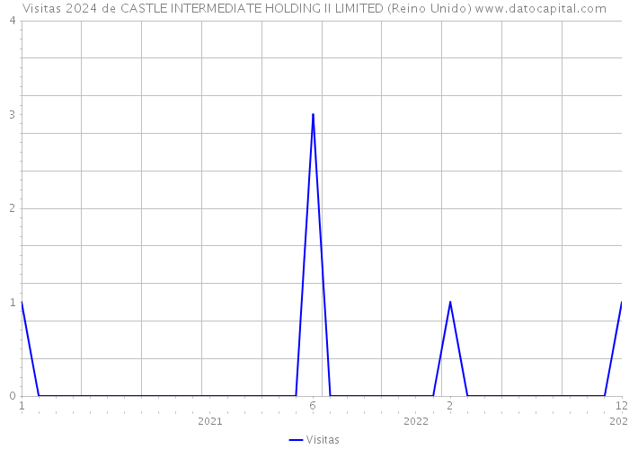 Visitas 2024 de CASTLE INTERMEDIATE HOLDING II LIMITED (Reino Unido) 