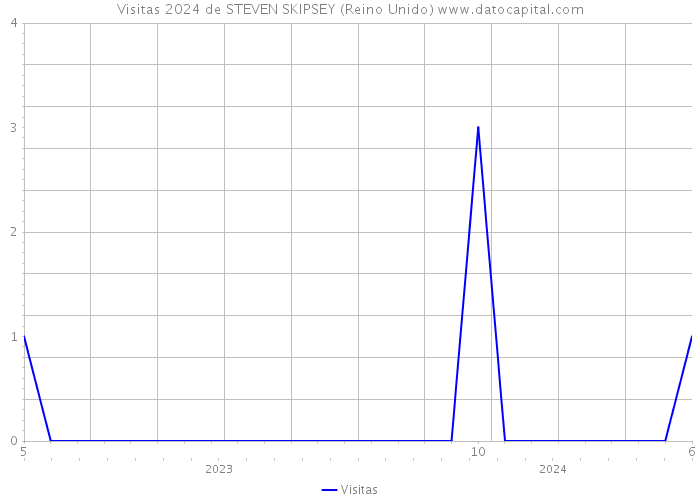 Visitas 2024 de STEVEN SKIPSEY (Reino Unido) 