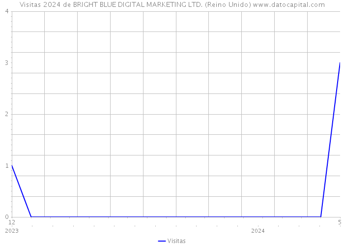 Visitas 2024 de BRIGHT BLUE DIGITAL MARKETING LTD. (Reino Unido) 