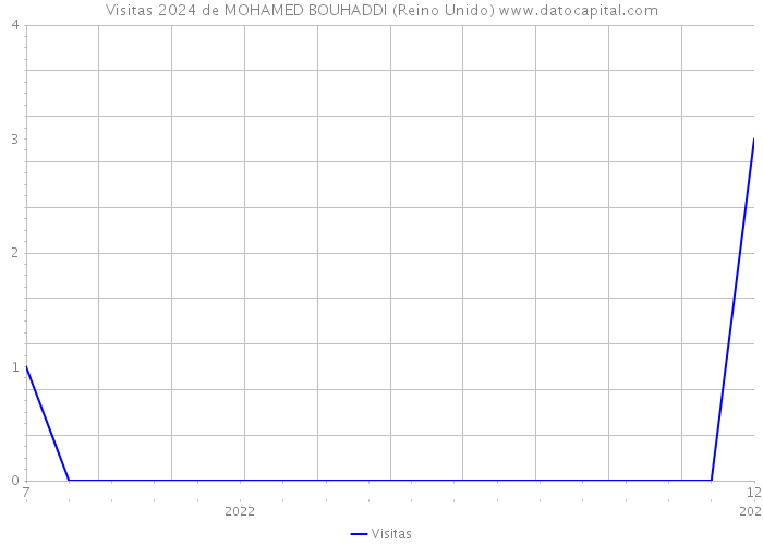 Visitas 2024 de MOHAMED BOUHADDI (Reino Unido) 