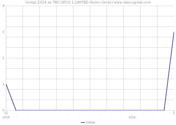 Visitas 2024 de TBG OPCO 1 LIMITED (Reino Unido) 