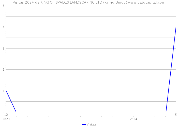 Visitas 2024 de KING OF SPADES LANDSCAPING LTD (Reino Unido) 