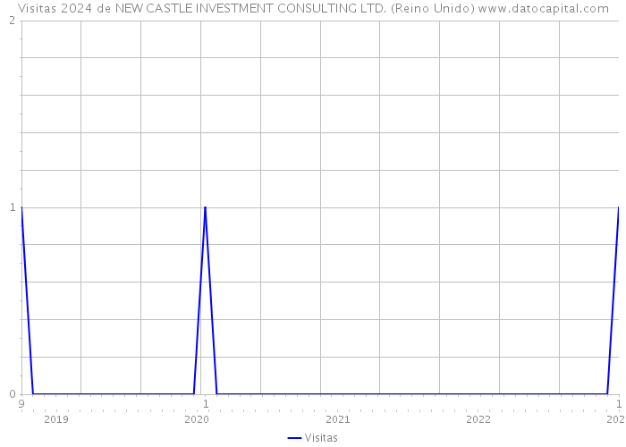 Visitas 2024 de NEW CASTLE INVESTMENT CONSULTING LTD. (Reino Unido) 