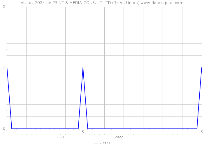 Visitas 2024 de PRINT & MEDIA CONSULT LTD (Reino Unido) 