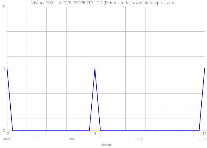 Visitas 2024 de TVP PROPERTY LTD (Reino Unido) 