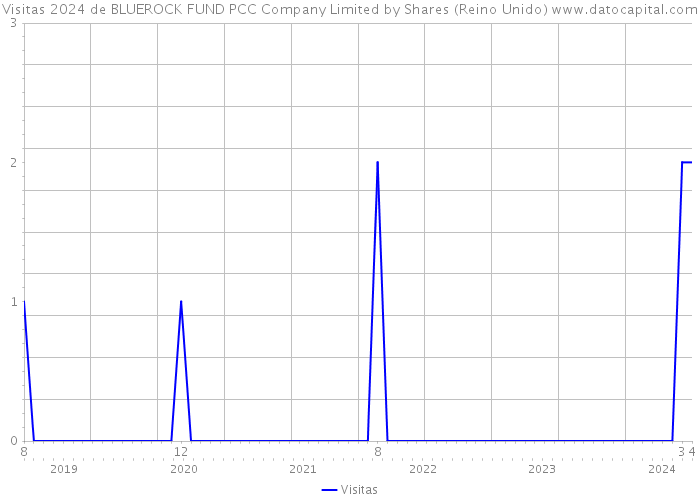 Visitas 2024 de BLUEROCK FUND PCC Company Limited by Shares (Reino Unido) 